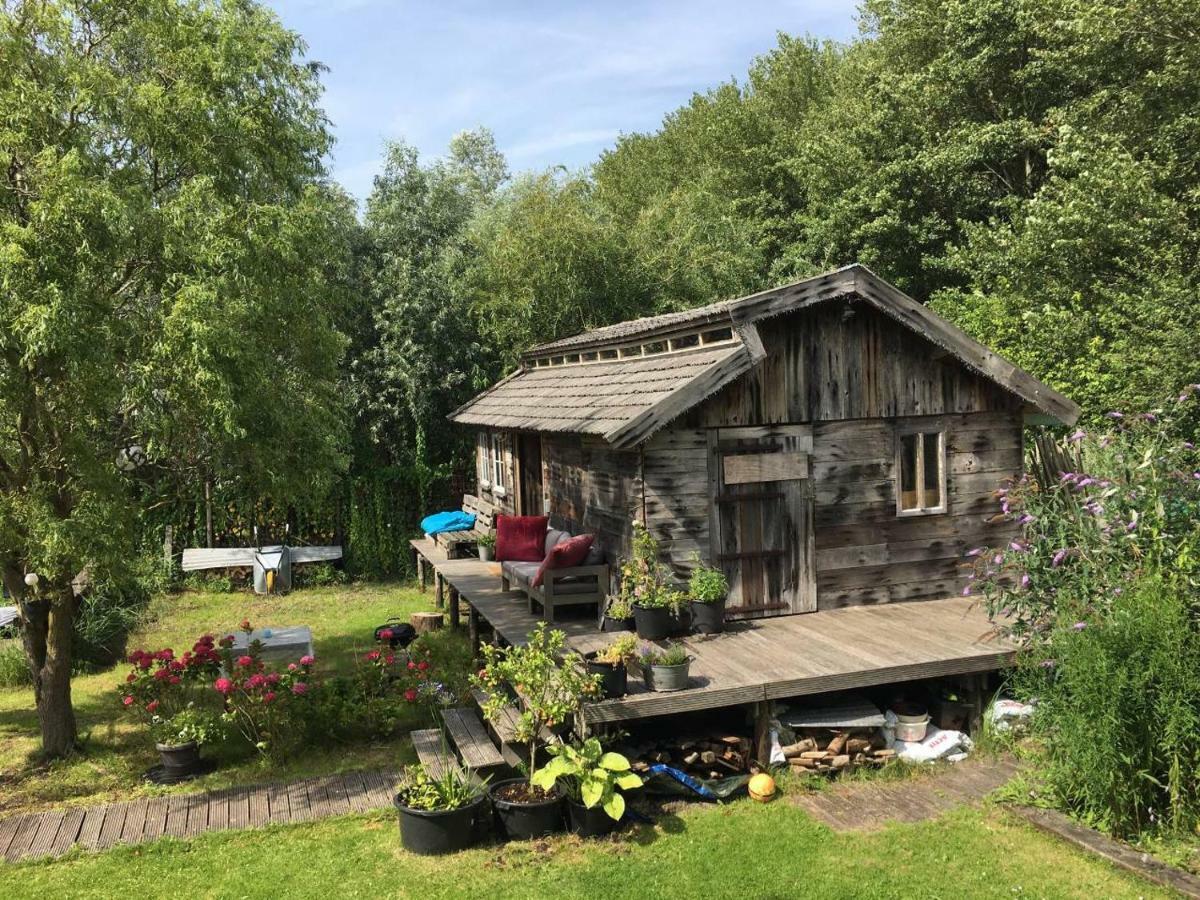 Cabin In The Green - Near Amsterdam Velsen-Zuid Ngoại thất bức ảnh