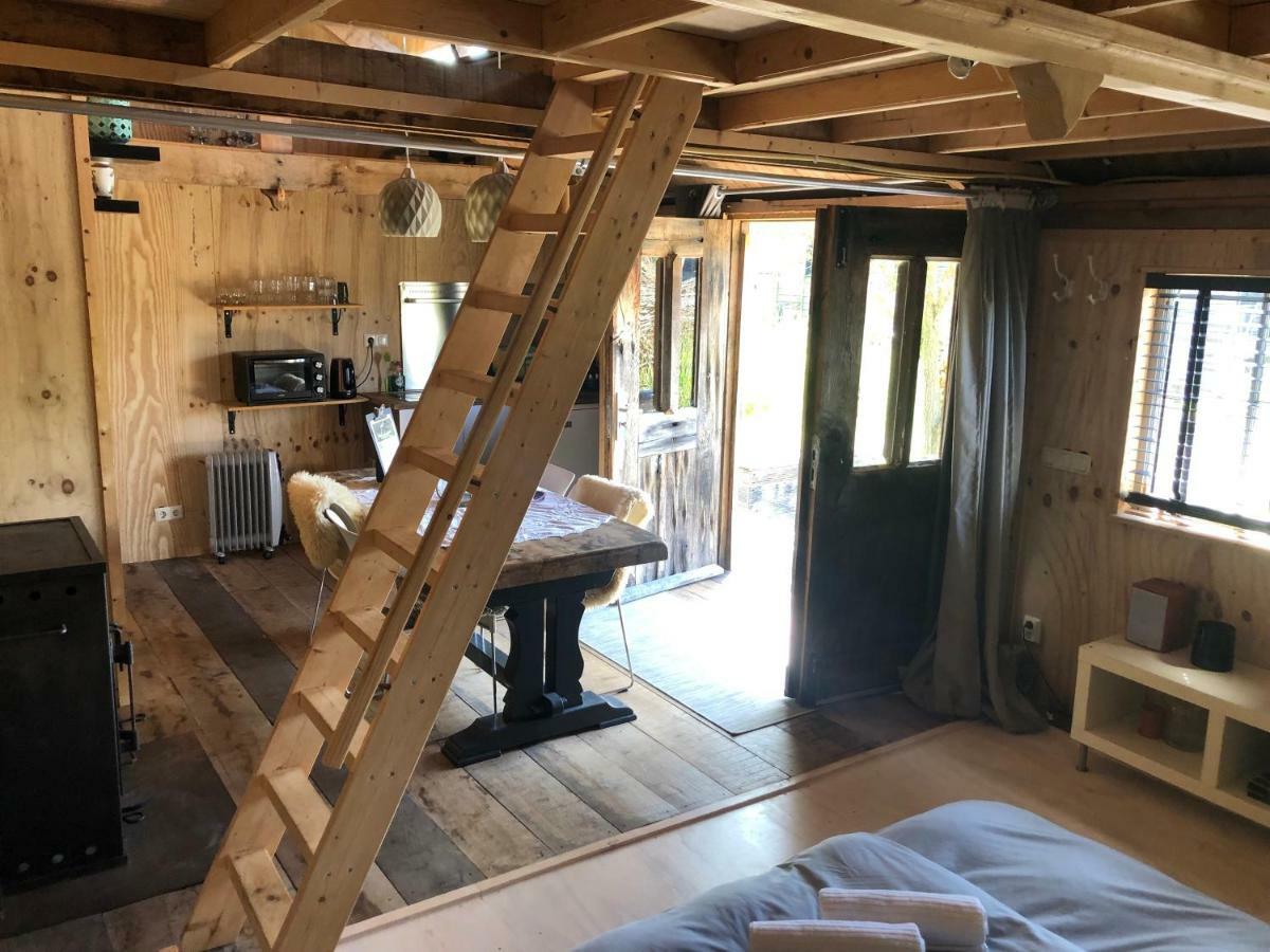 Cabin In The Green - Near Amsterdam Velsen-Zuid Ngoại thất bức ảnh